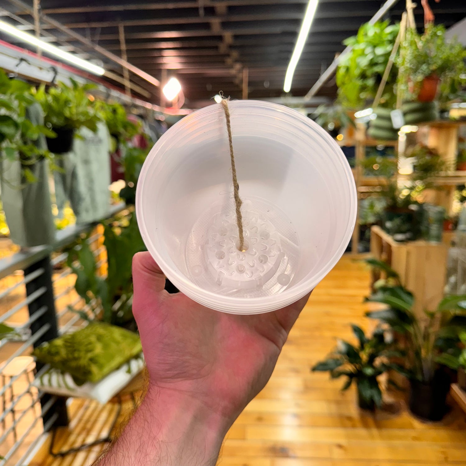 Clear Nursery Pots