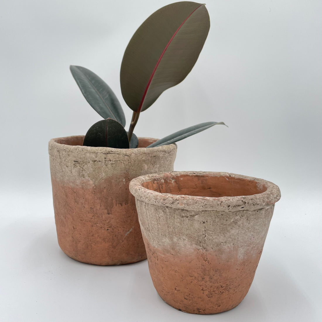 Weathered White Cement Terracotta Planter