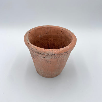 Scalloped Terracotta Cement Planter