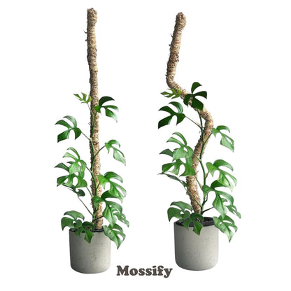 The Original Bendable Moss Pole™