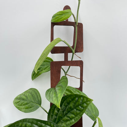 Midcentury Modern Square Plant Trellis