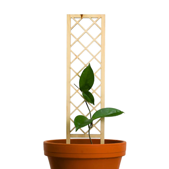 Cross-Hatch Wooden Trellis