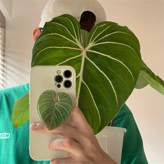 Plant-Themed Phone Grips
