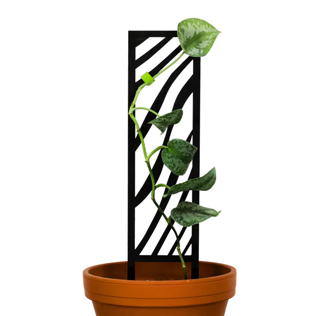 Zebra Wooden Trellis