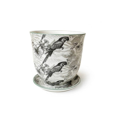 Liberte 5 Porcelain Pot with Saucer