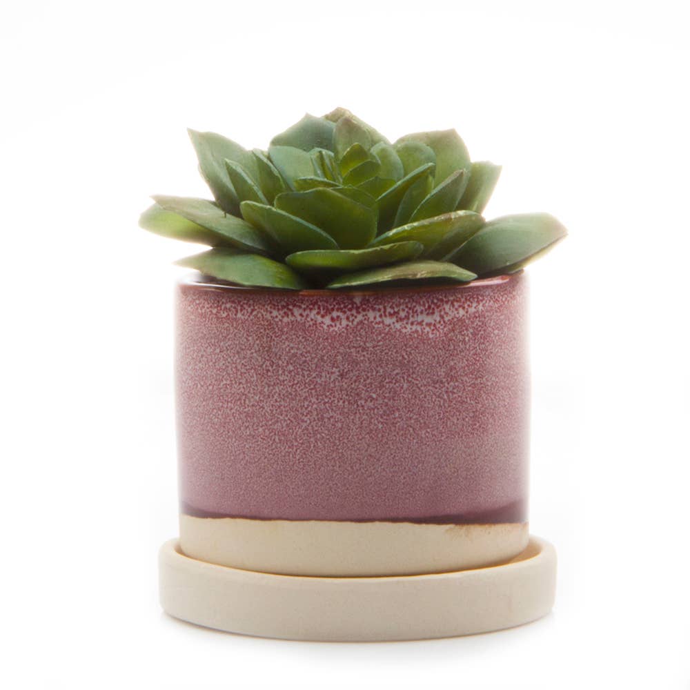 Minute Ceramic Plant Pots Indoor