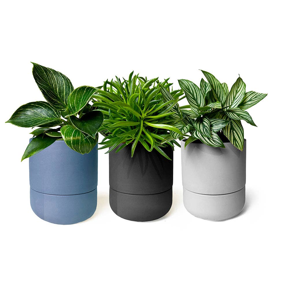 Ryan Self-Watering Plant Pot