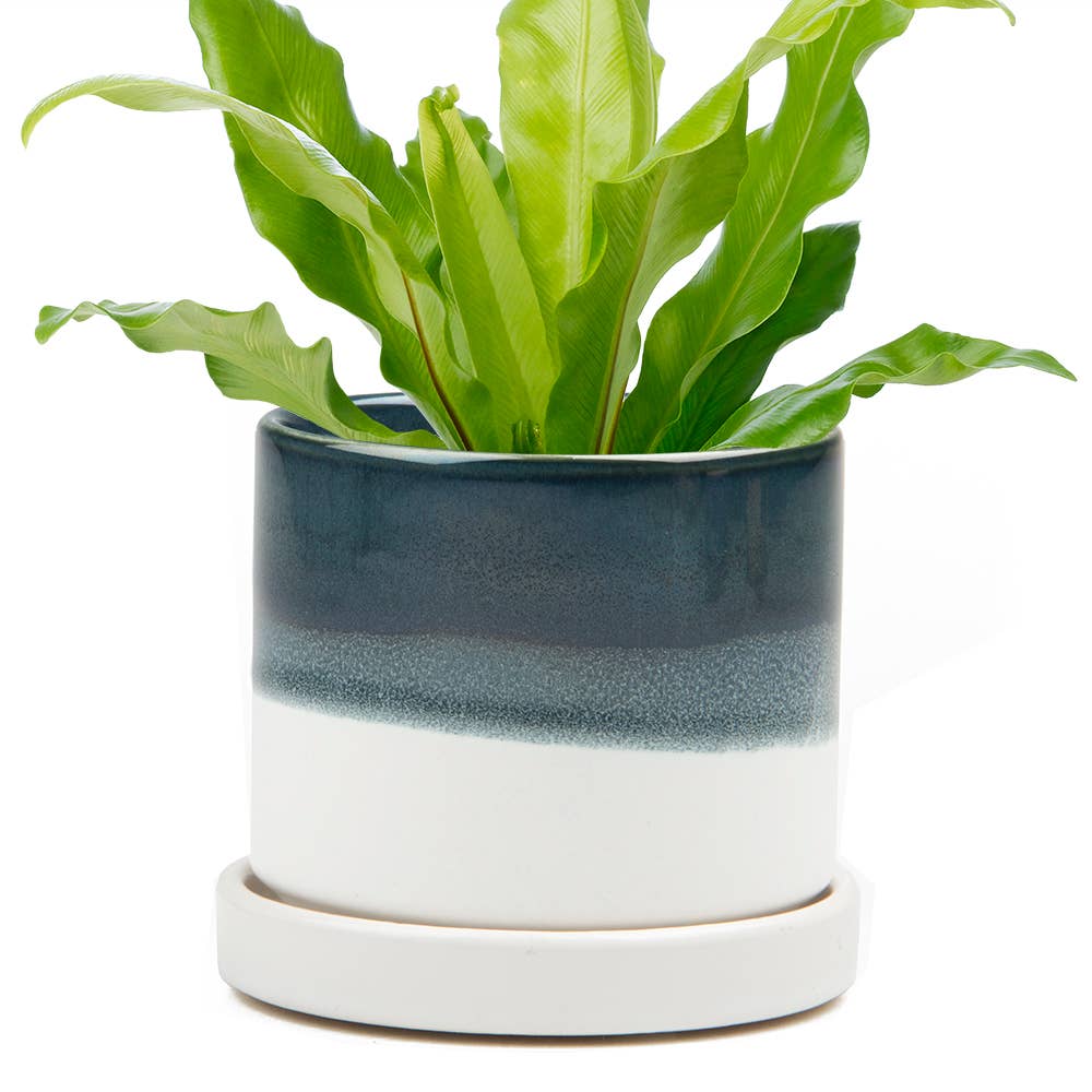 Minute Ceramic Plant Pots Indoor