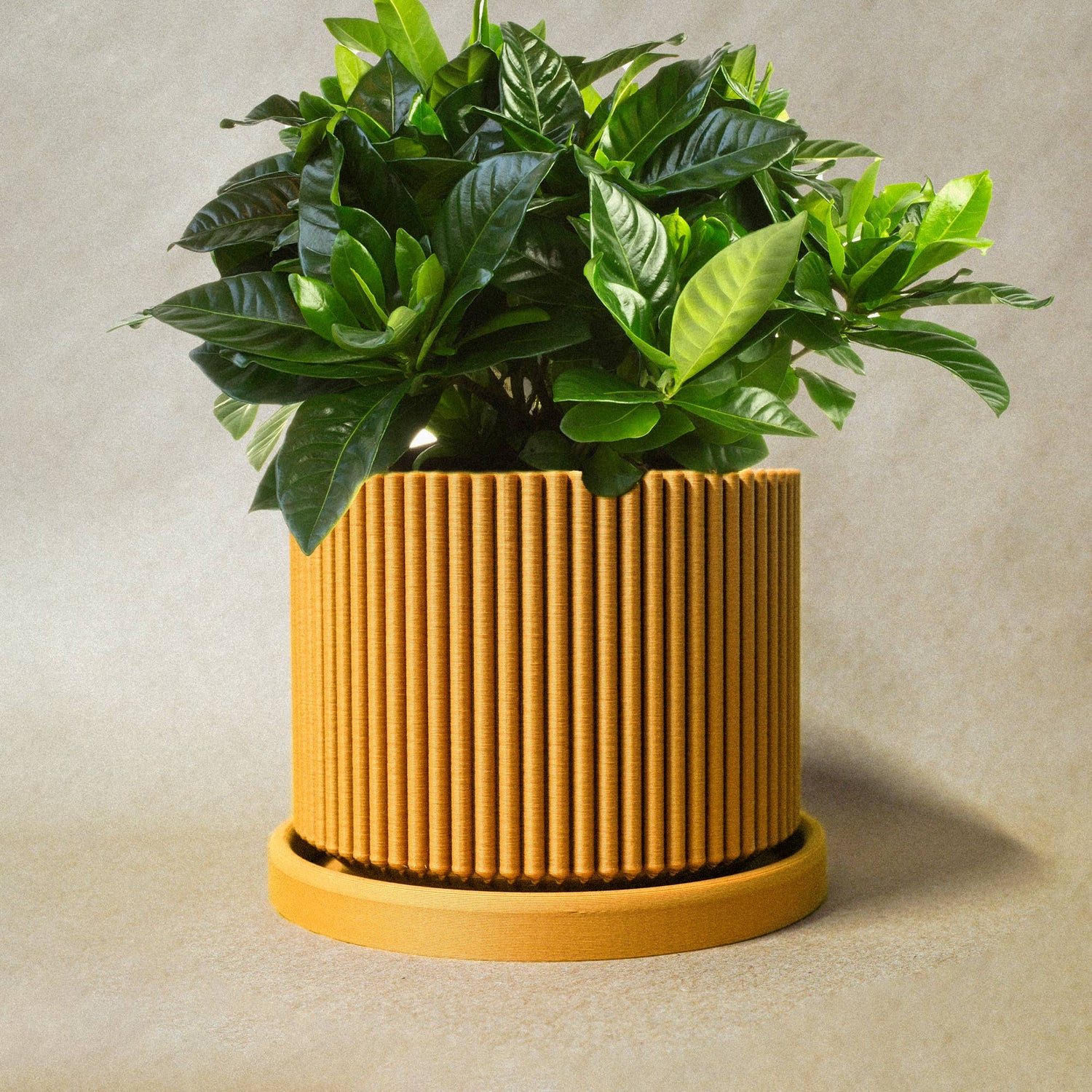 Mid-Century Mid Ribbed 3D Printed Planter