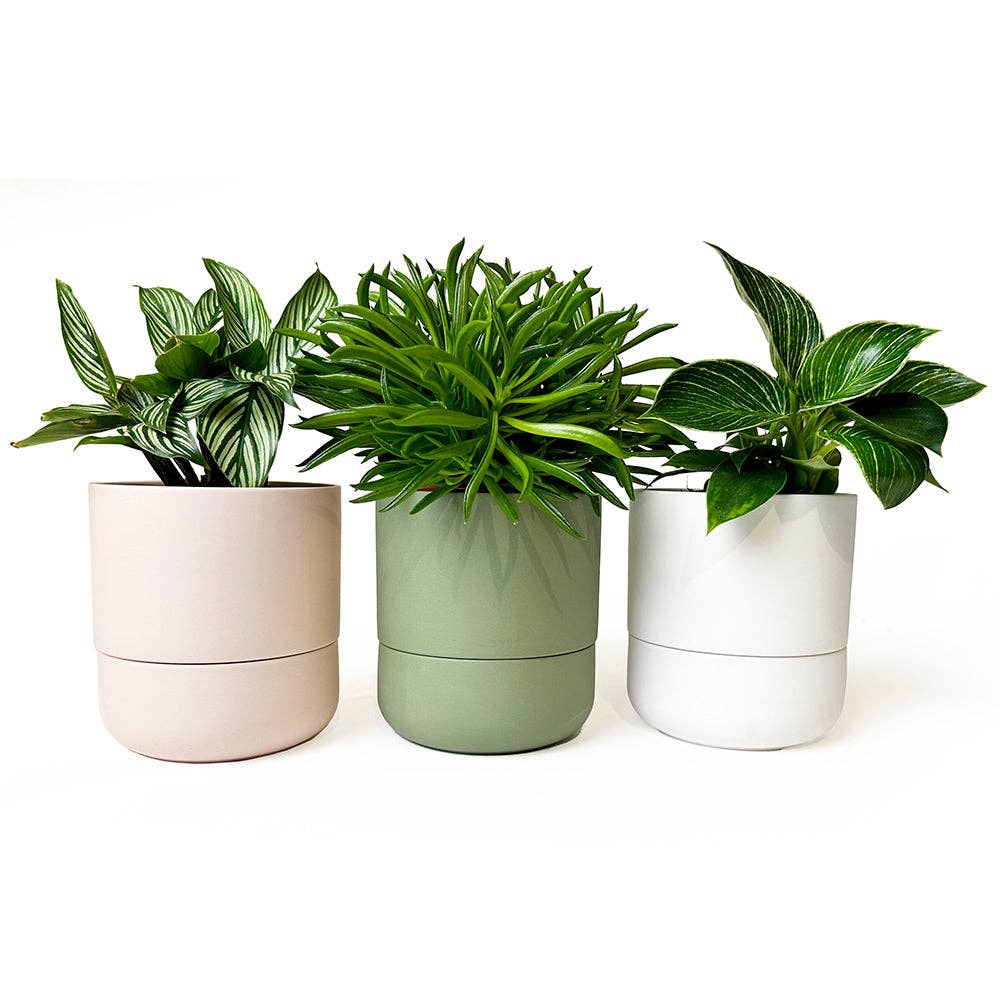 Ryan Self-Watering Plant Pot