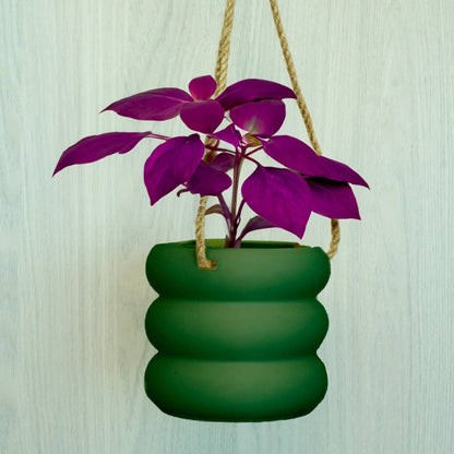 Hanging Bubble Plant Pot