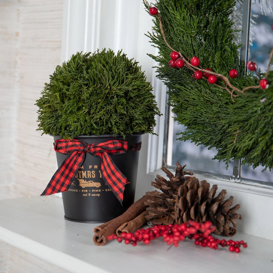 Christmas Round Tin Planter