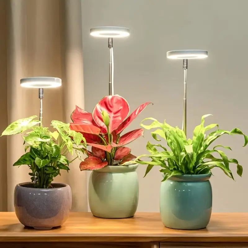 Halo Grow Light