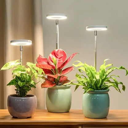 Halo Grow Light