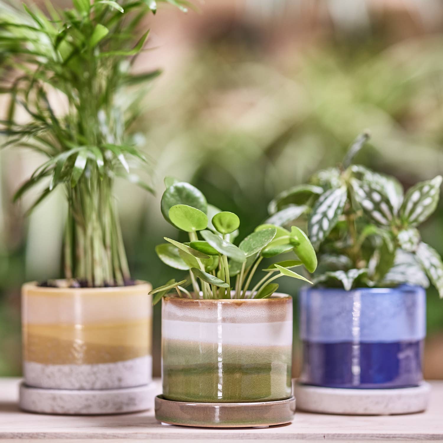 Minute Ceramic Plant Pots Indoor