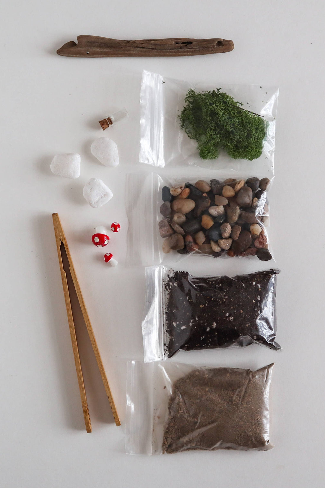 DIY Glass Plant Terrarium Kit