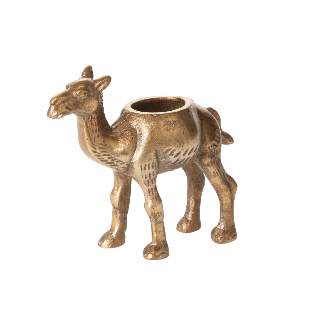 Camel Planter