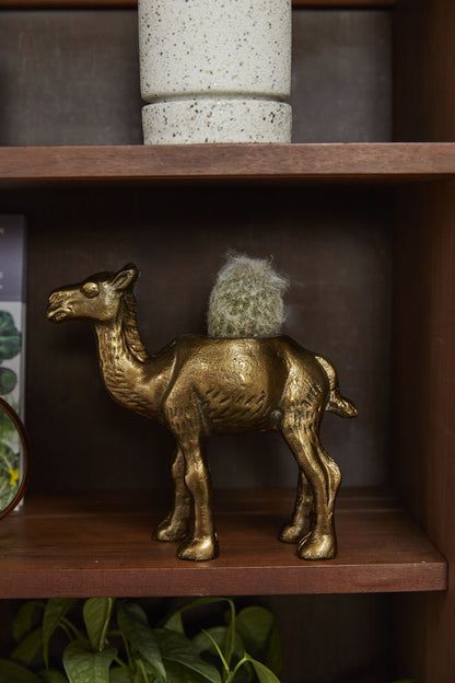 Camel Planter