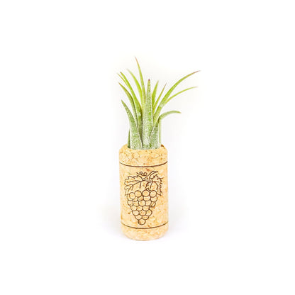 Wine Cork Magnet with Air Plant