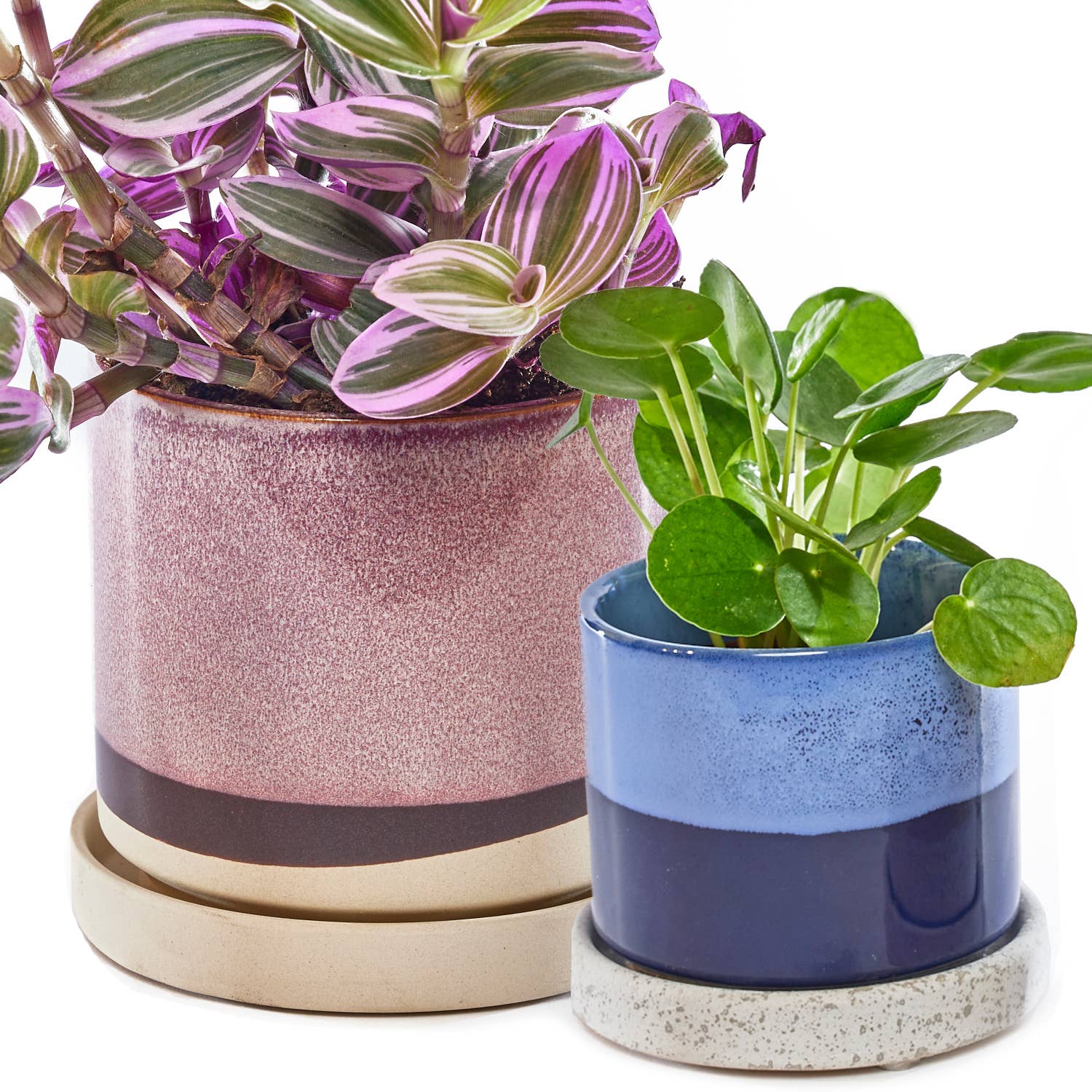 Minute Ceramic Plant Pots Indoor