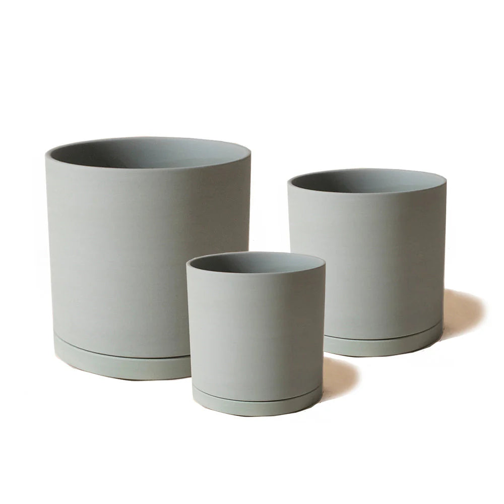 Dojo Ceramic Plant Pots