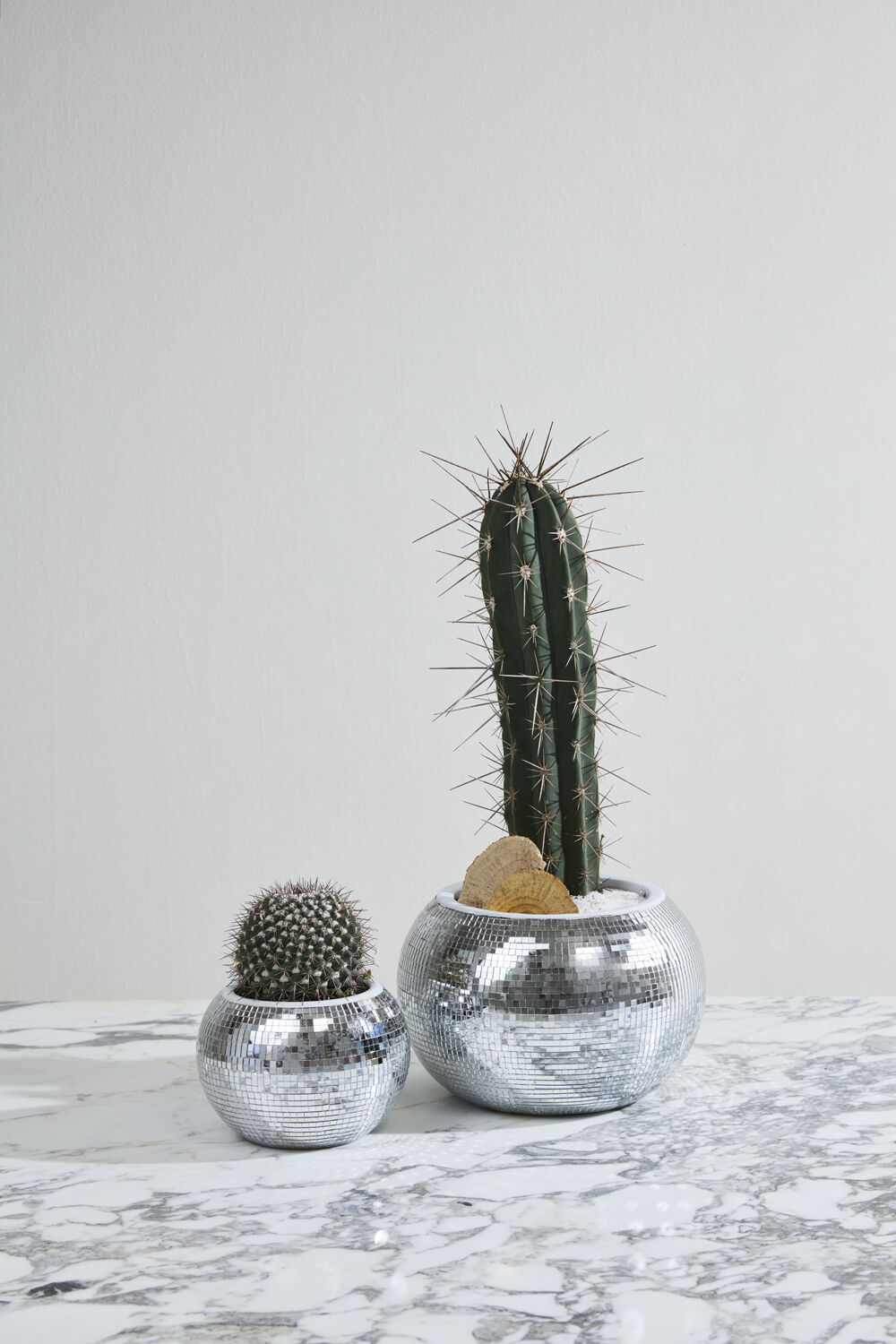 Disco Planter