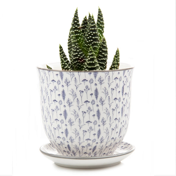 Liberte 4 Porcelain Pot with Saucer