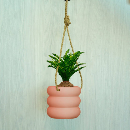 Hanging Bubble Plant Pot