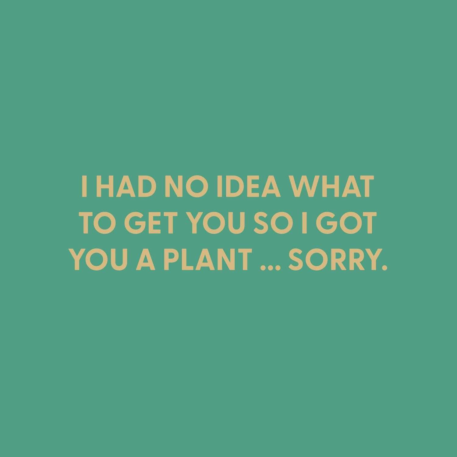 I had no idea what to get you so i got you a plant … Greeting Card