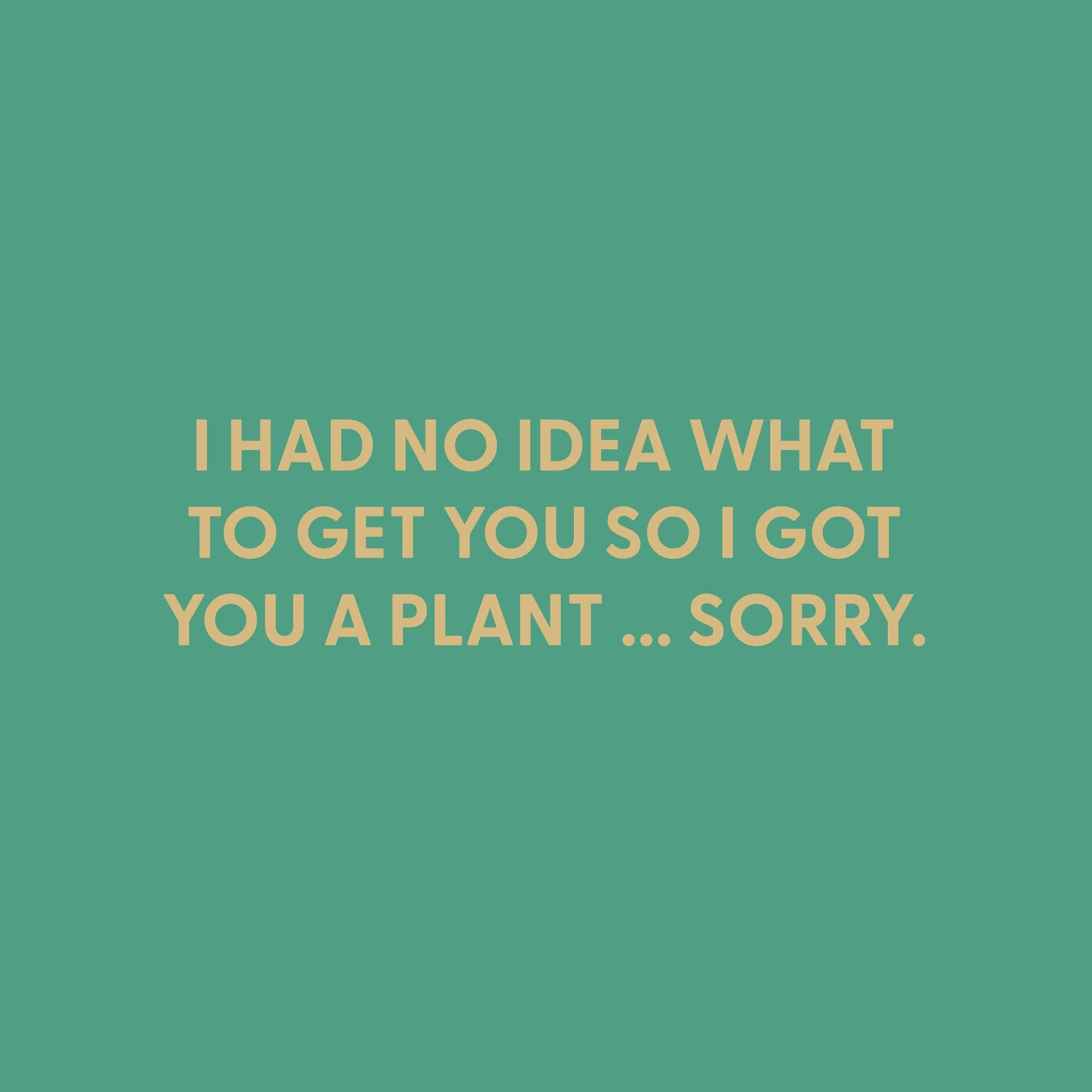 I had no idea what to get you so i got you a plant … Greeting Card