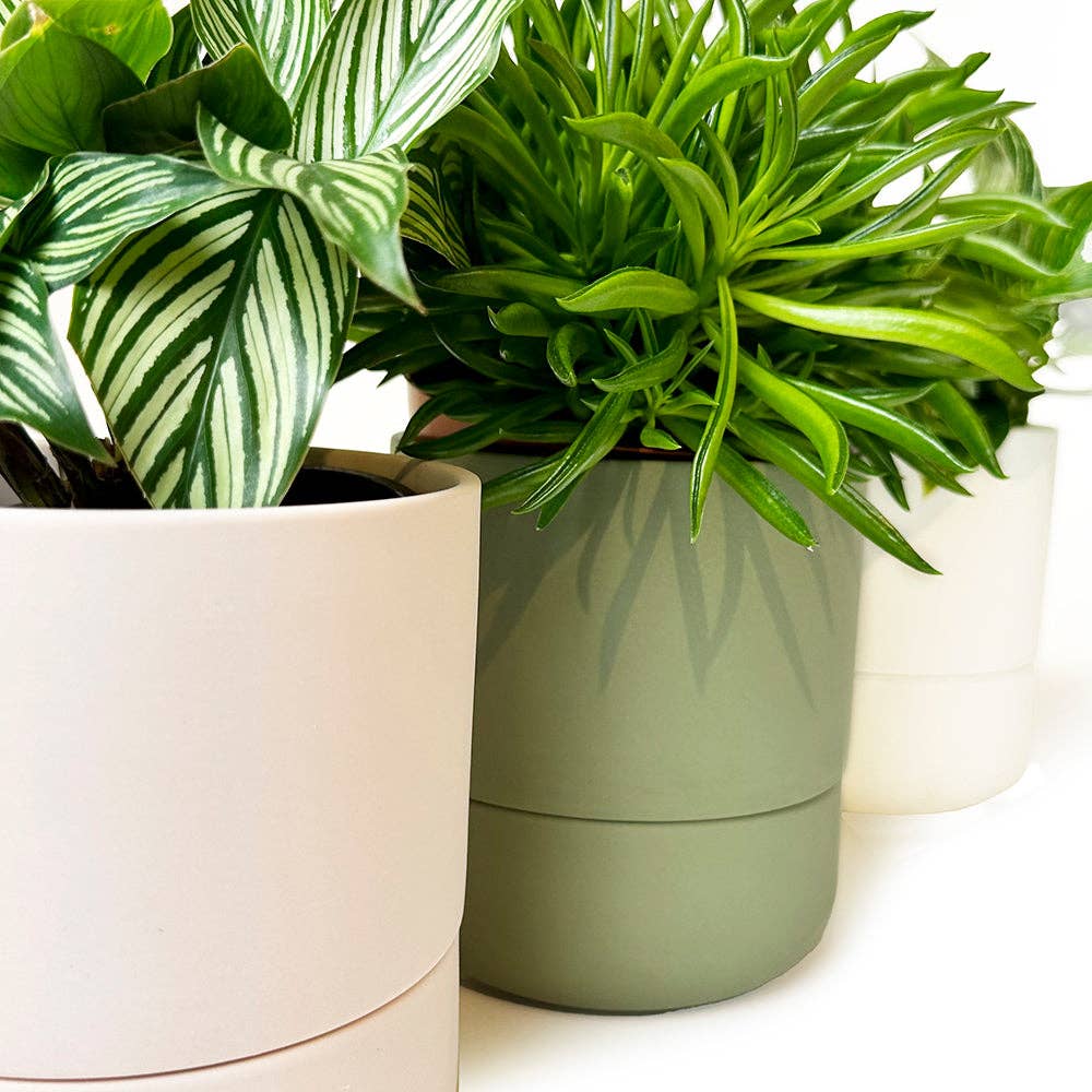 Ryan Self-Watering Plant Pot