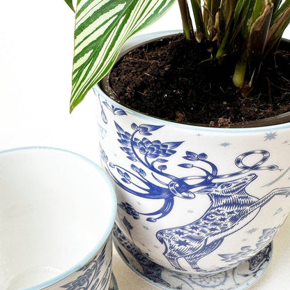 Liberte 5 Porcelain Pot with Saucer