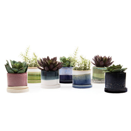 Minute Ceramic Plant Pots Indoor