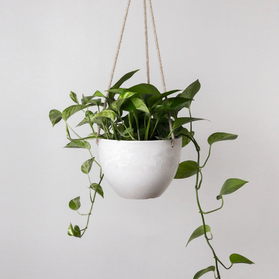 Signature Stone Hanging Planter Pot