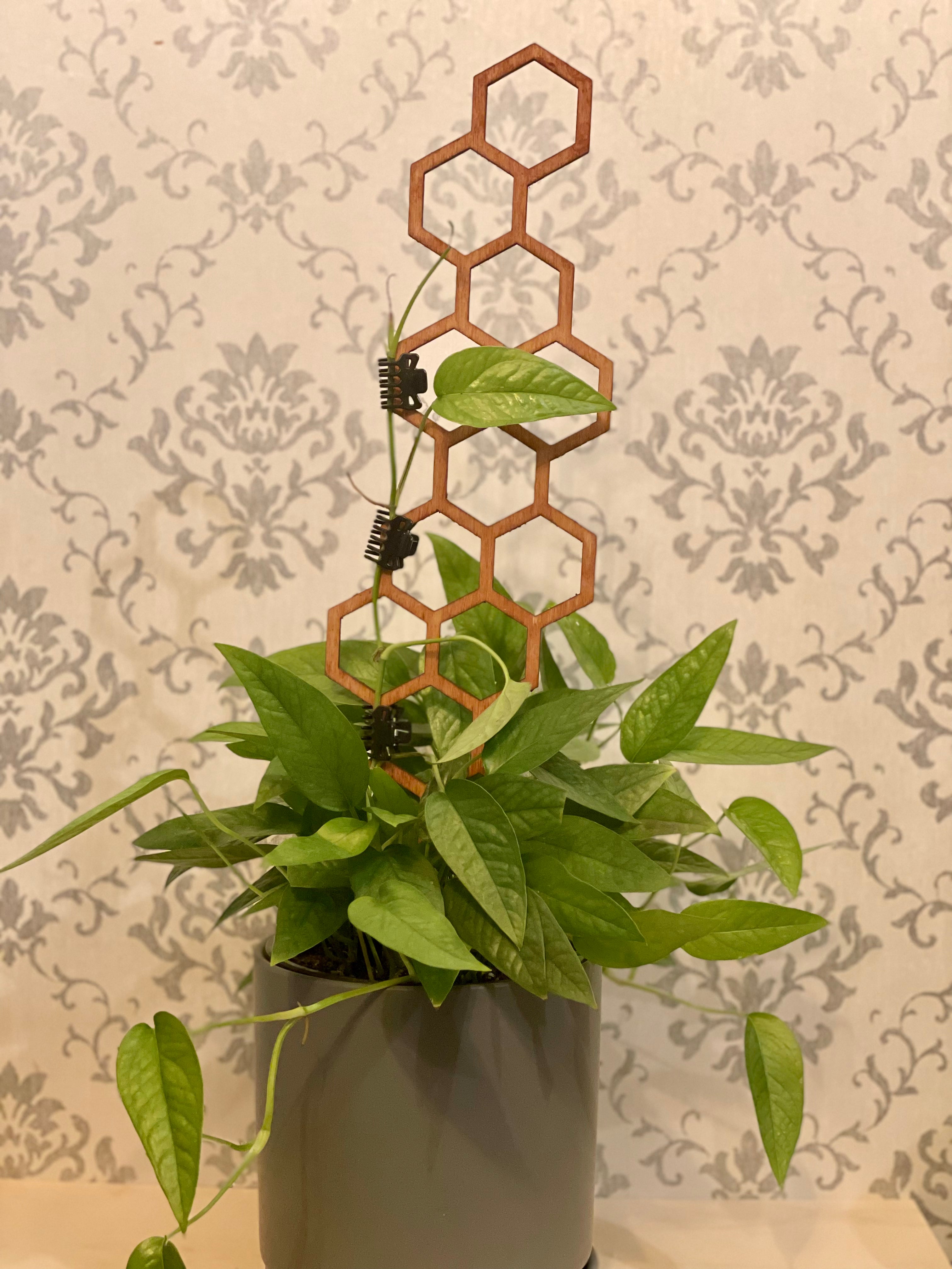 Honey Comb Plant Trellis