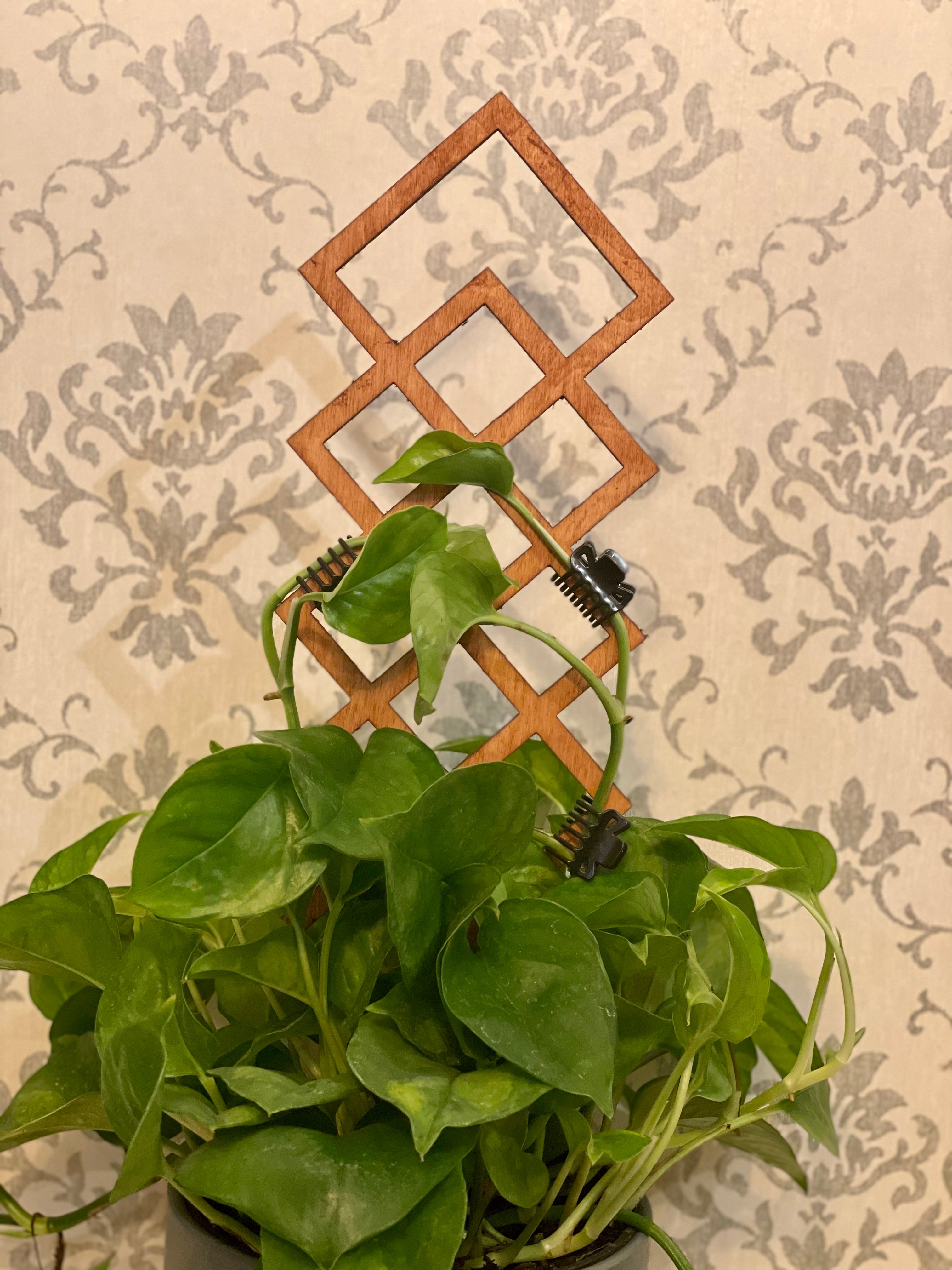 Geometric Plant Trellis