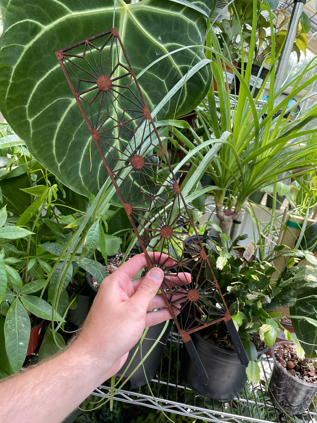 Stained Glass Plant Trellis