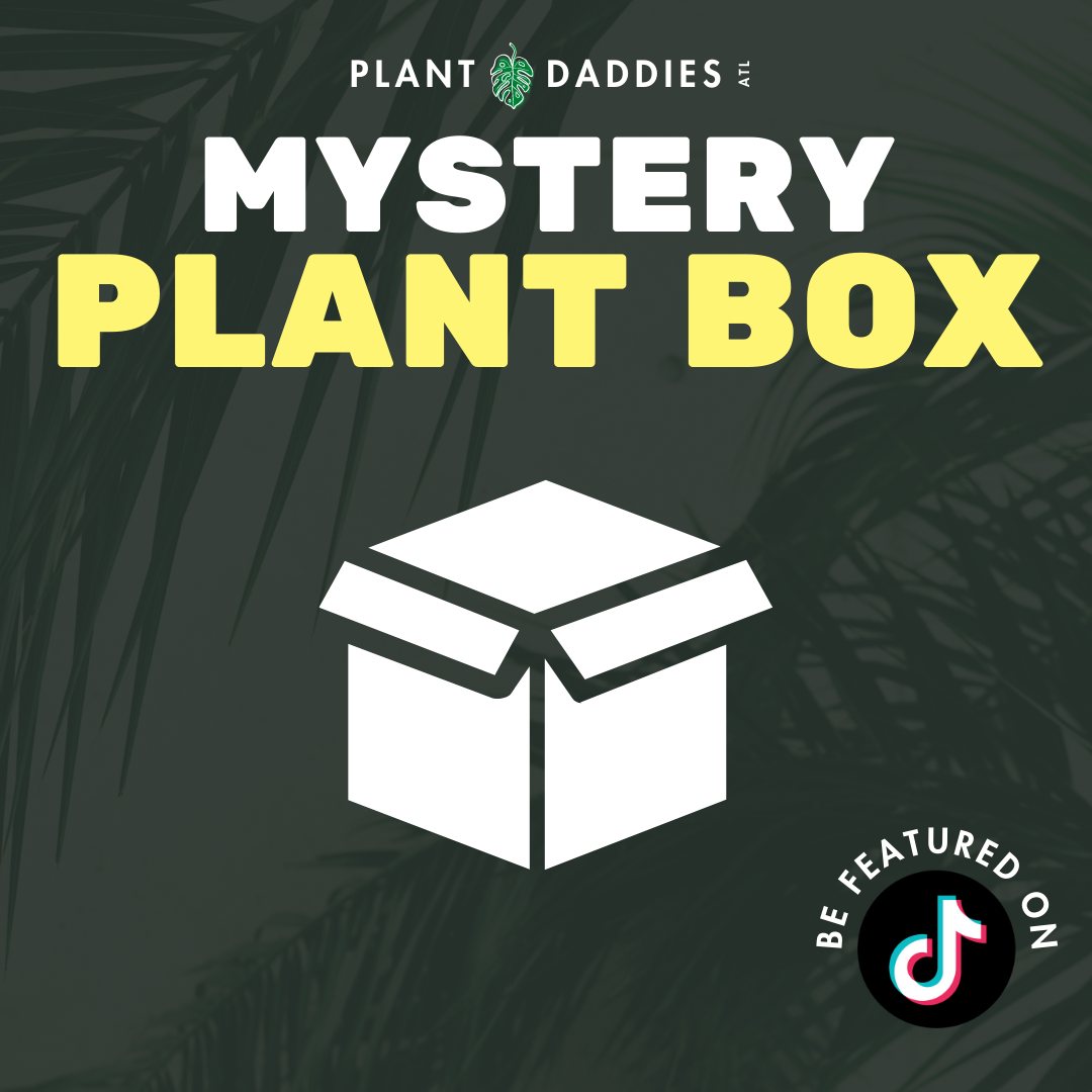 Mystery Plant Box