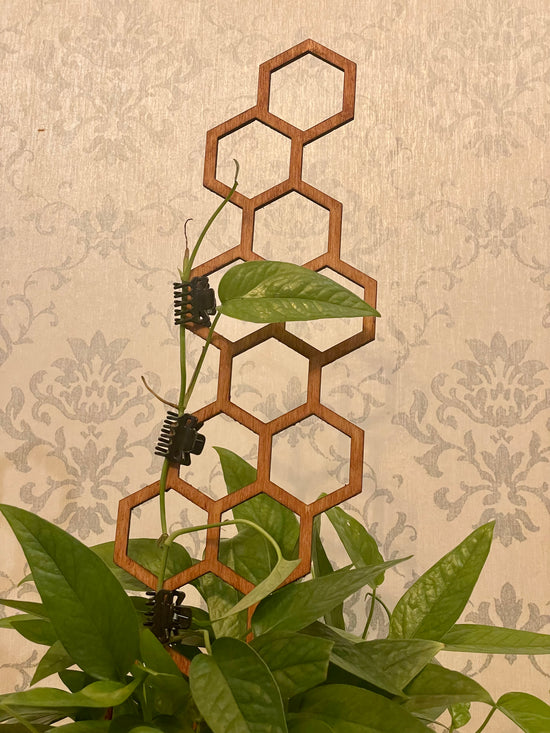 Honey Comb Plant Trellis