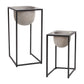 SCOUT PLANT STAND