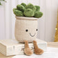 Plush Succulent Pillows