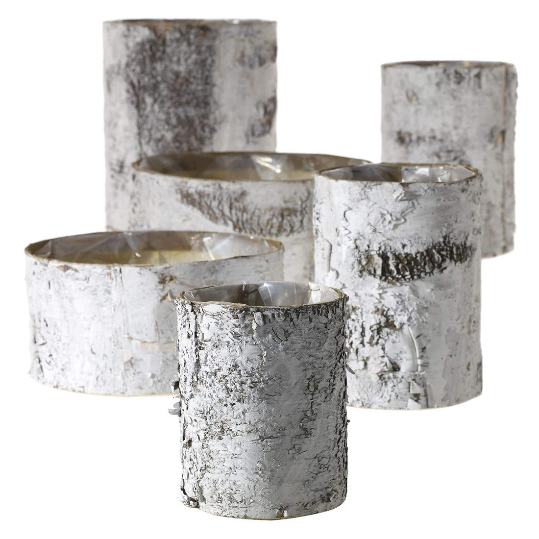 White Birch Pot