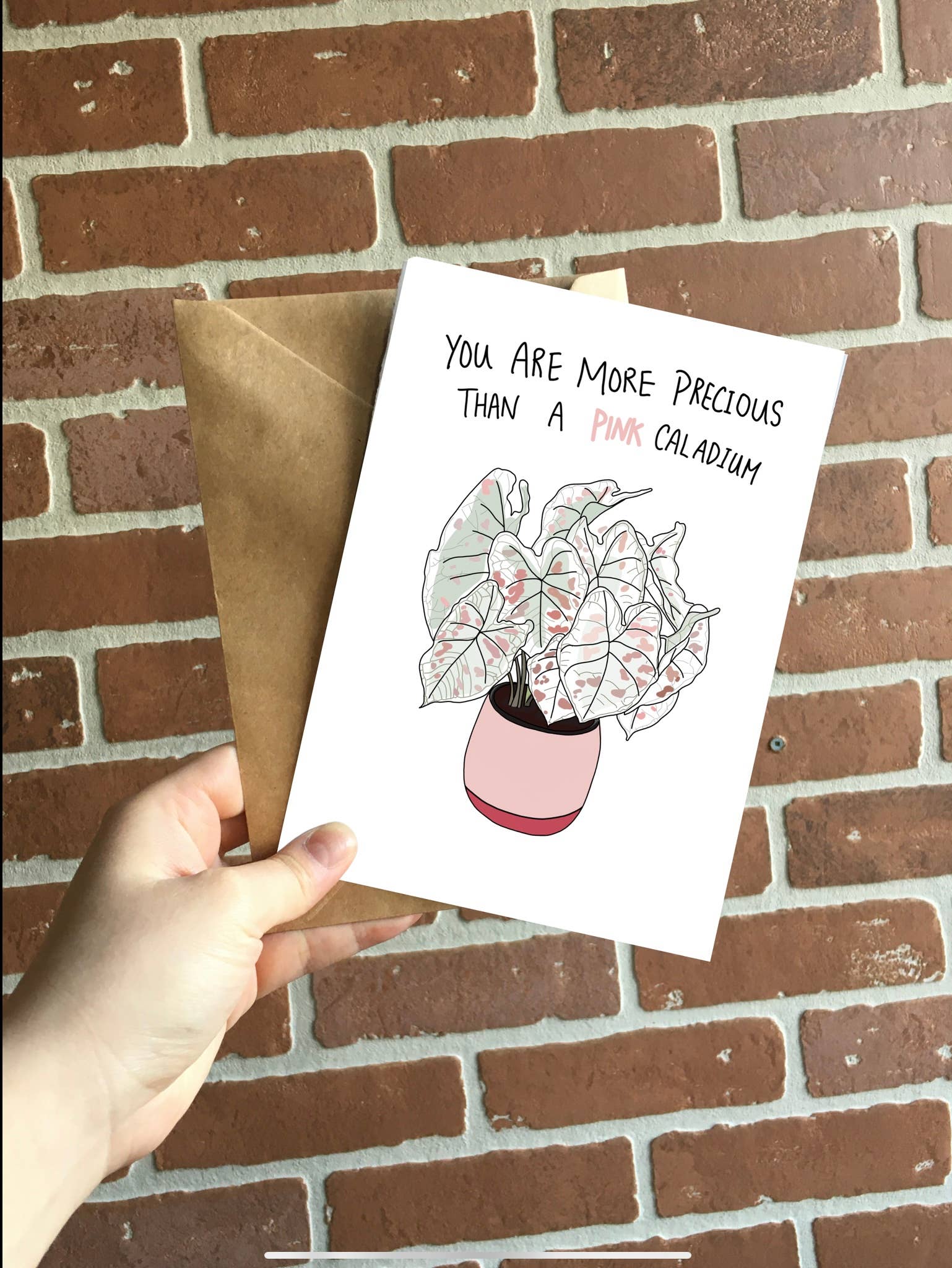 More Precious Than Pink Caladium Card