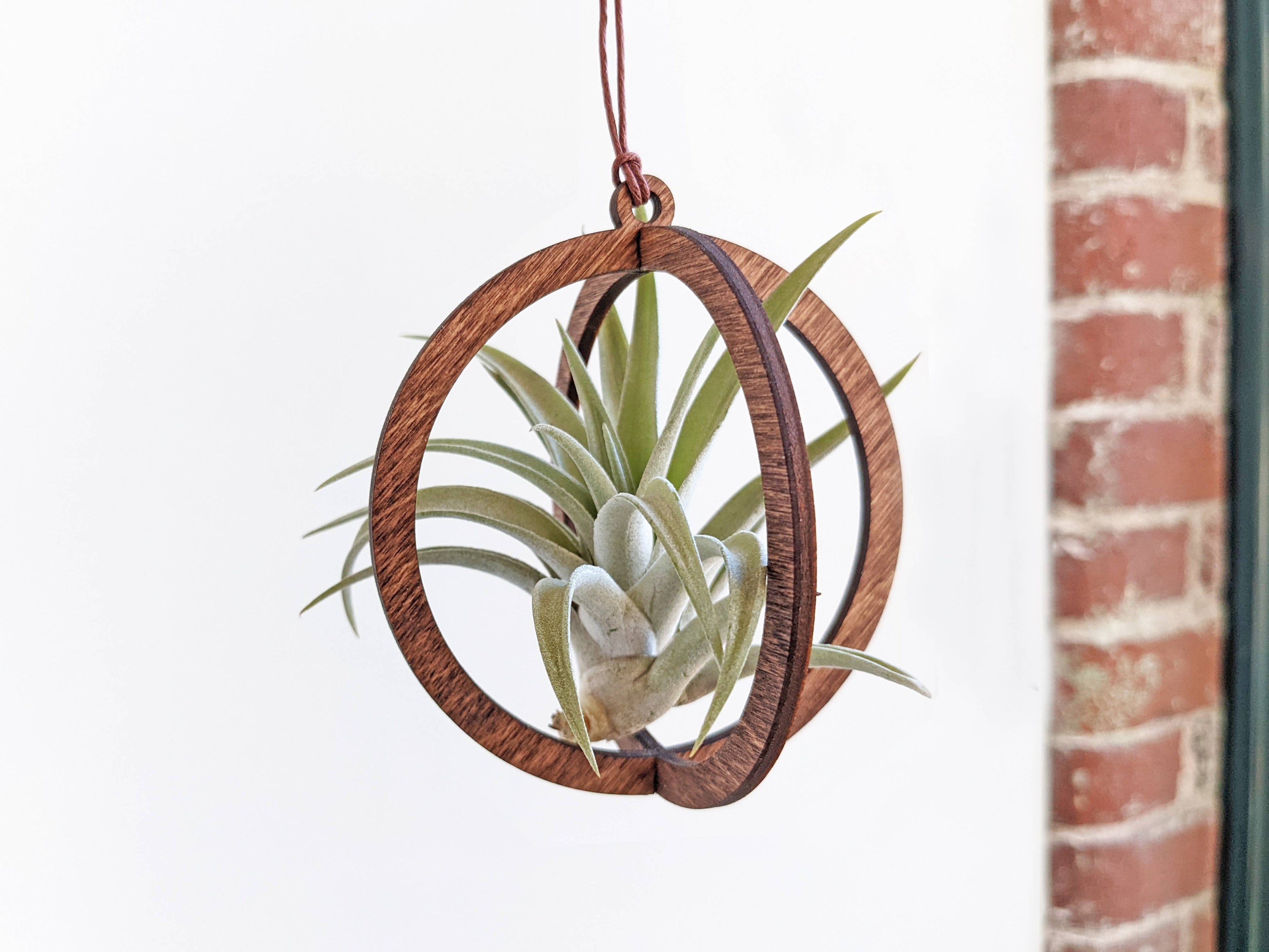 Circle Hanging Wood Air Plant Holder