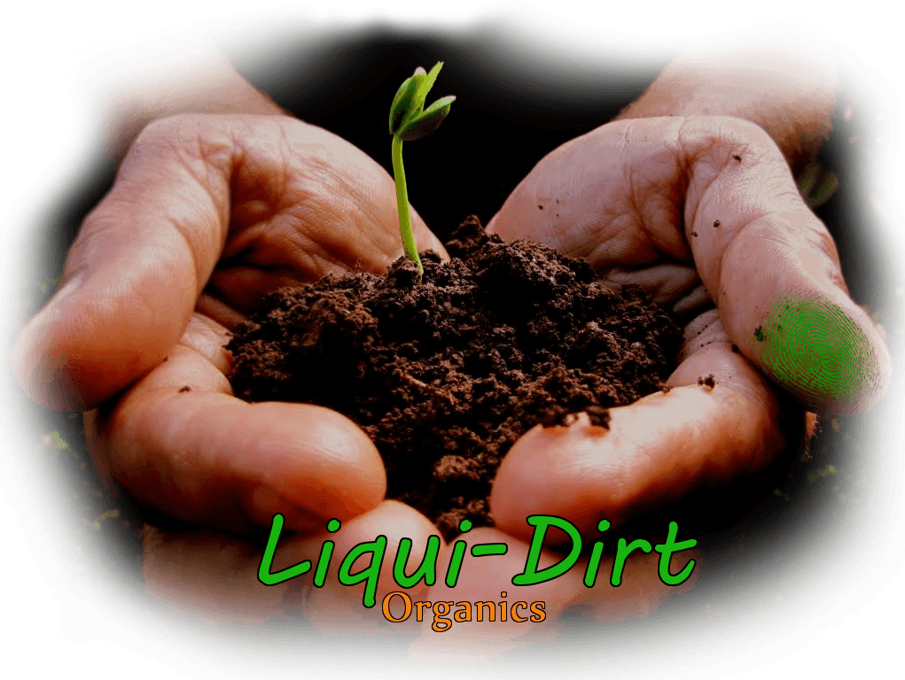 Liqui-Dirt Plant Food