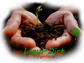 Liqui-Dirt Plant Food