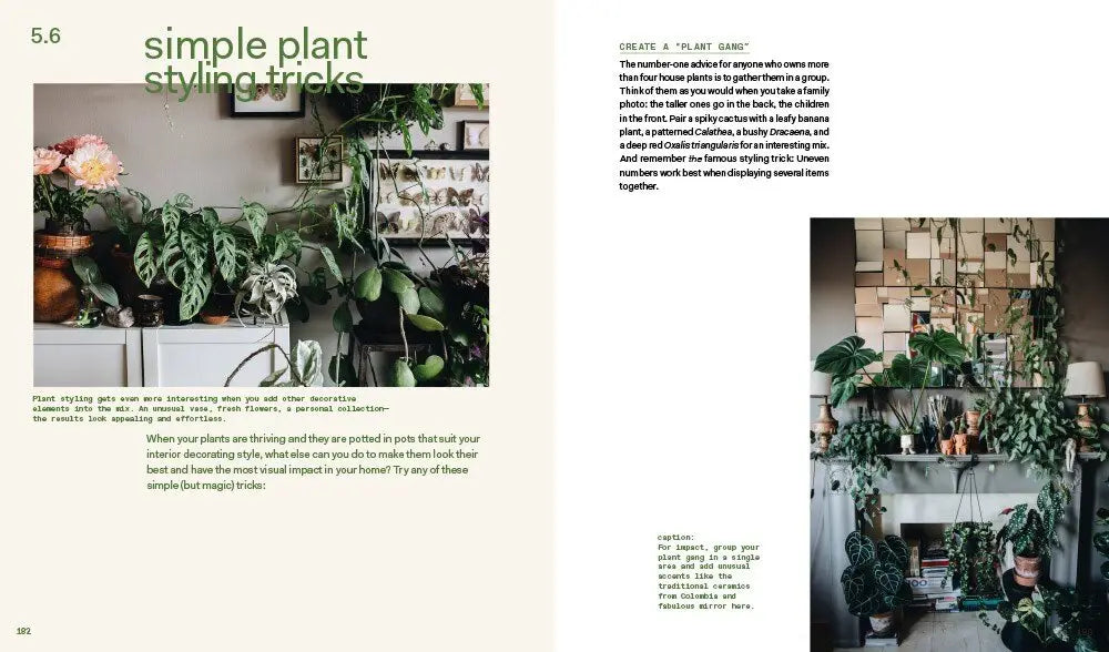 Plant Tribe - Living Happily Ever After with Plants