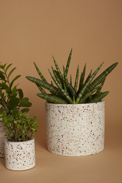 Terrazzo Pot