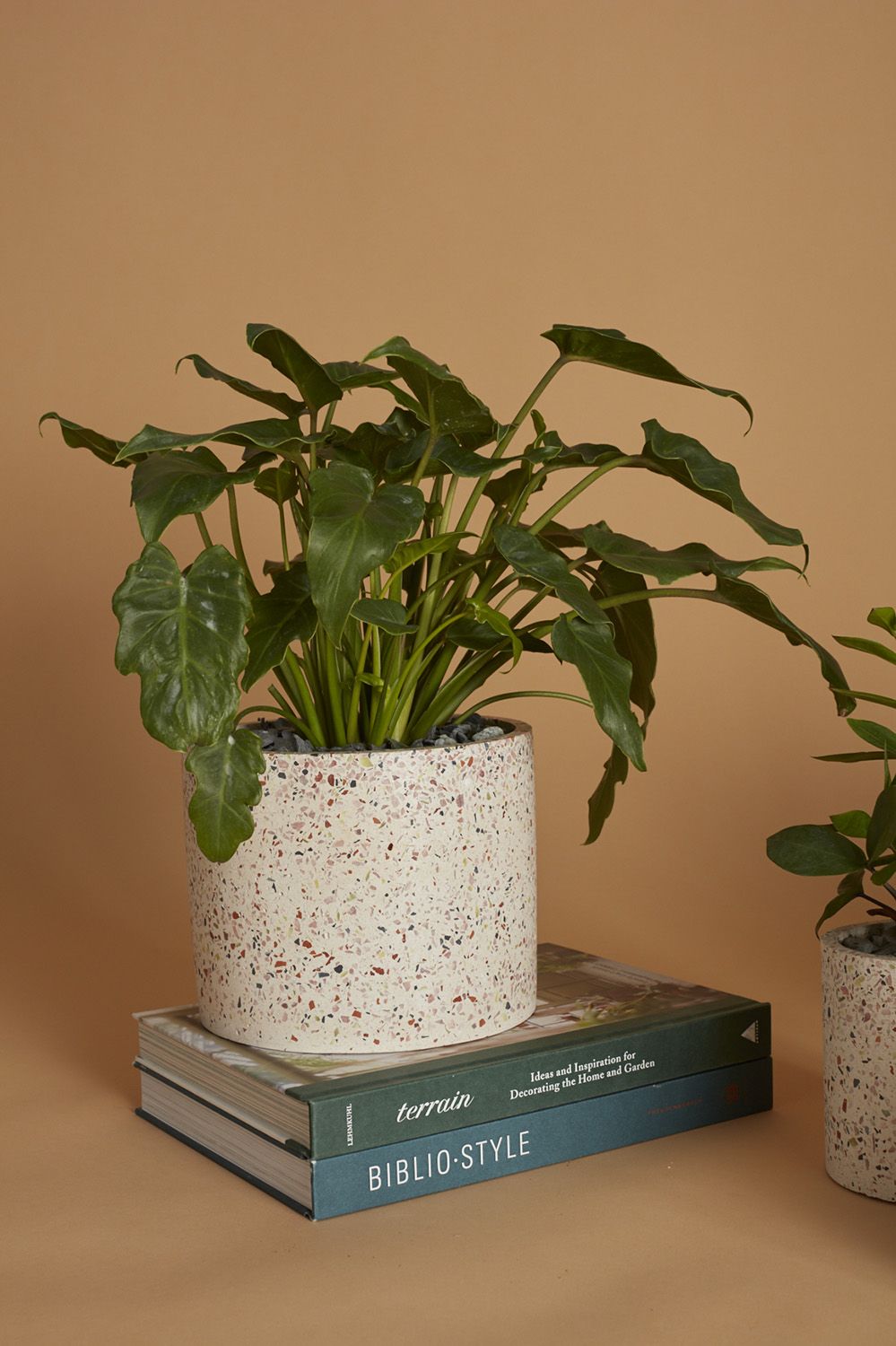 Terrazzo Pot