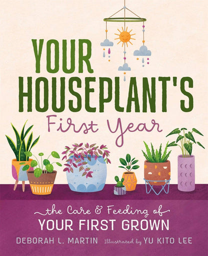 your house plant&